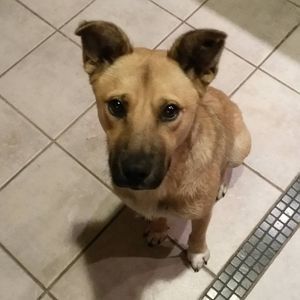 Meet your Posher, Linda